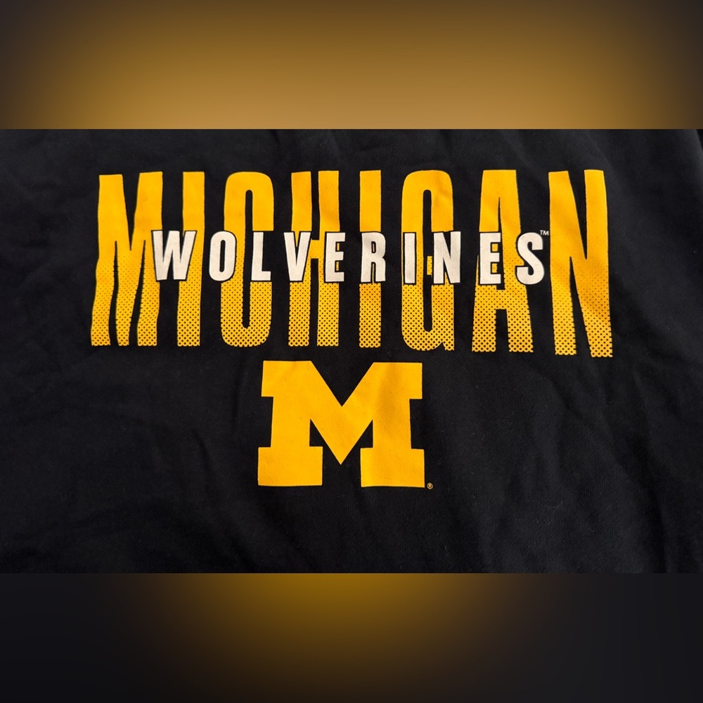NWT '47 Brand Michigan Wolverines Men's Overlay Headline Sweatshirt 2XL $70 MSRP - Picture 5 of 8